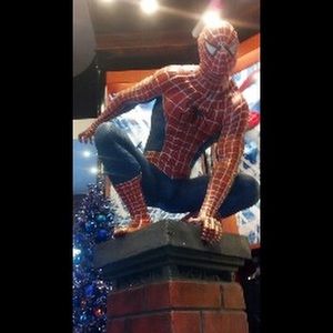 Meet your Posher, Bobert